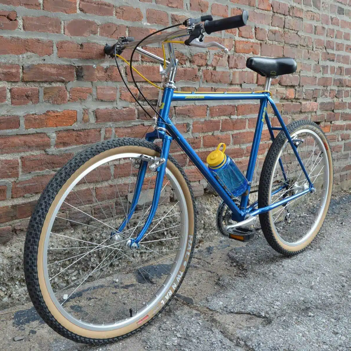 A blue mountain bike with a LiterCage rests against a brick wall.